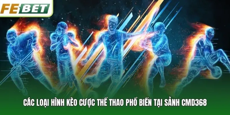 Các loại hình kèo cược thể thao phổ biến tại sảnh CMD368