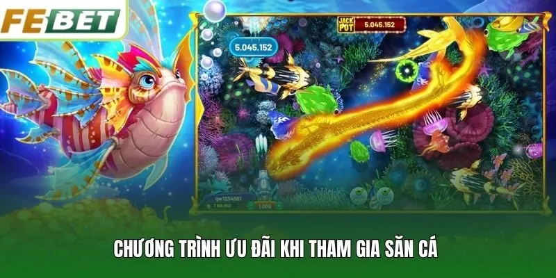 Chương trình ưu đãi khi tham gia săn cá 
