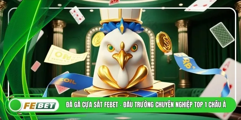 Đá Gà Cựa Sắt FEBET - Đấu Trường Chuyên Nghiệp Top 1 Châu Á