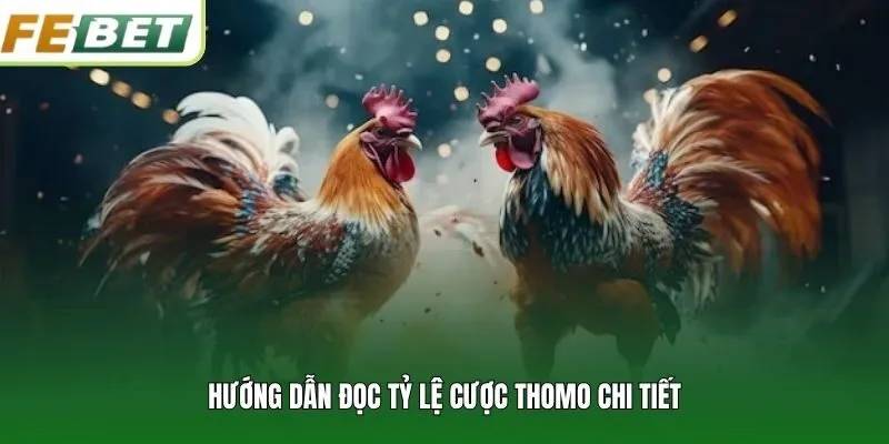 Hướng dẫn đọc tỷ lệ cược Thomo chi tiết