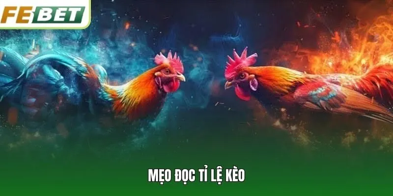 Mẹo đọc tỉ lệ kèo