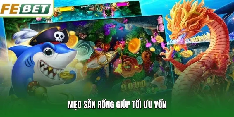 Mẹo săn Rồng giúp tối ưu vốn