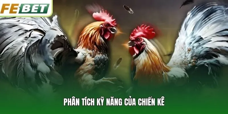 Phân tích kỹ năng của chiến kê