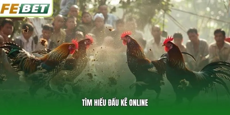 Tìm hiểu đấu kê online