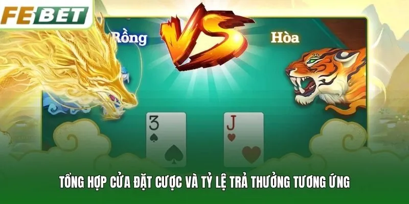 Tổng hợp cửa đặt cược và tỷ lệ trả thưởng tương ứng