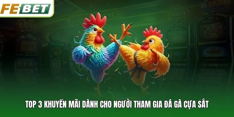 Top 3 khuyến mãi dành cho người tham gia đá gà cựa sắt