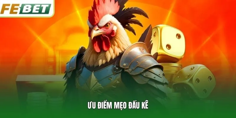 Ưu điểm mẹo đấu kê